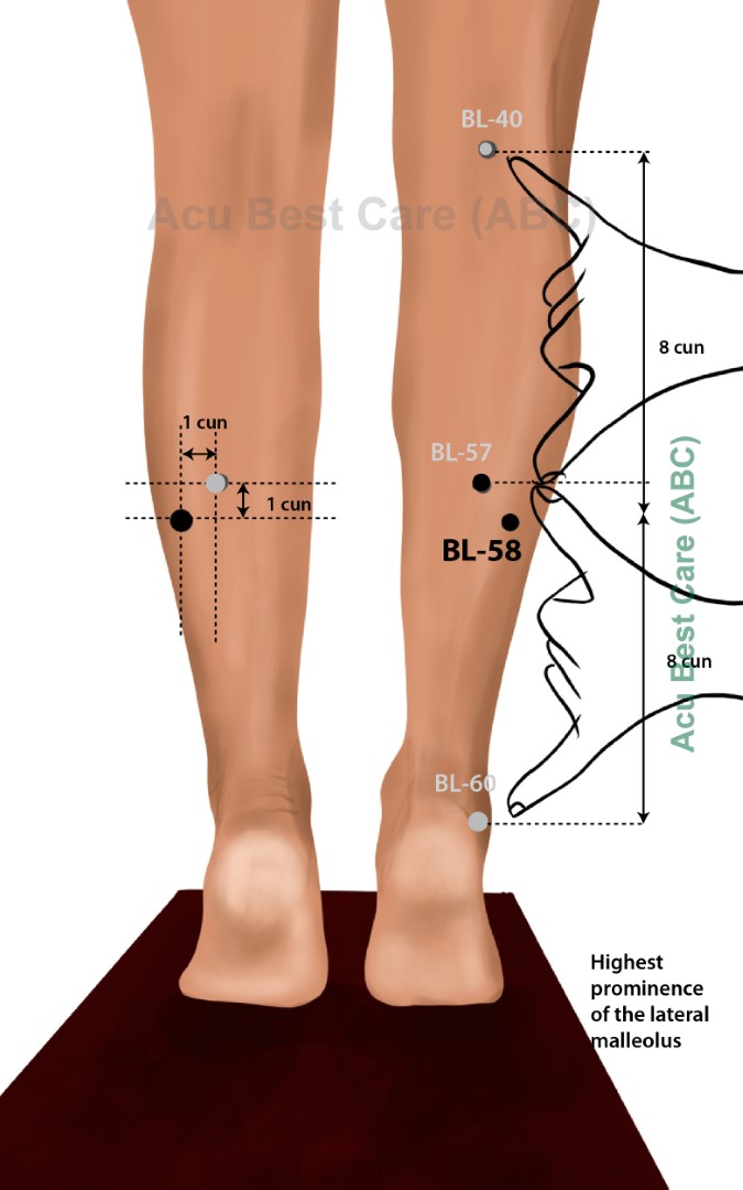 Acubestcare Meridian UB-58 or BL-58